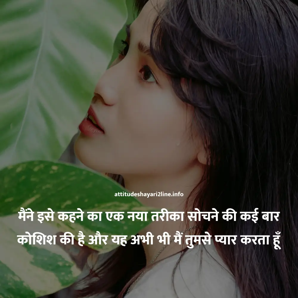 2 Line Attitude Shayari Love